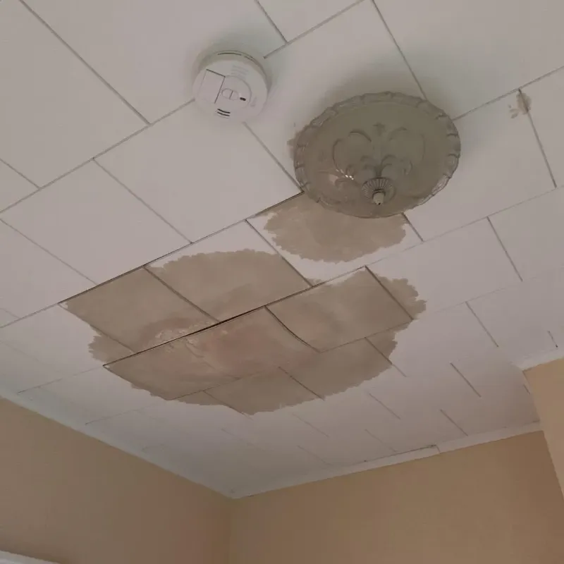 Ceiling Water Damage Repair in Belvidere, NJ