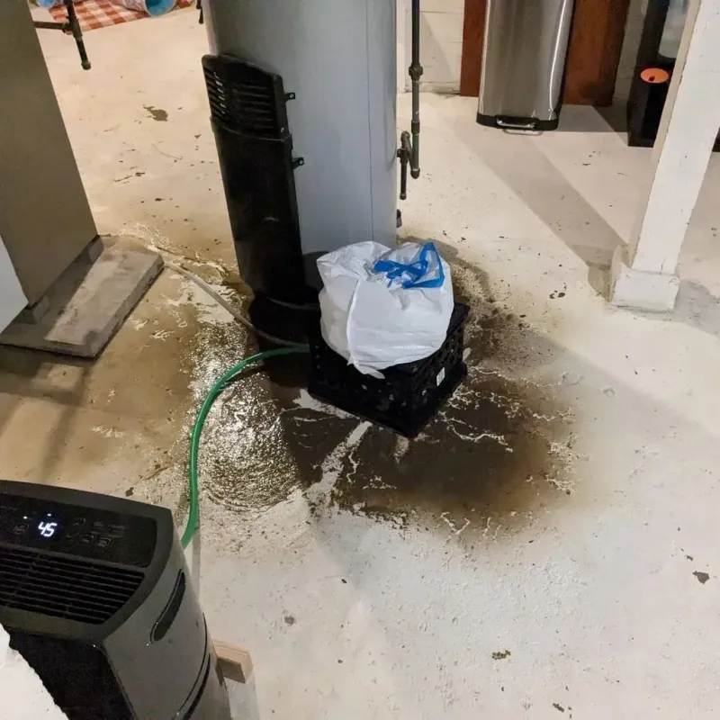 Sewage Backup Cleanup Service in Belvidere, NJ